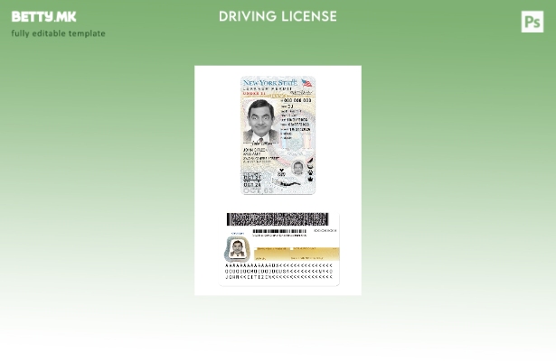 модерен стил САД Њујорк возачка дозвола под (верзија ) шаблон